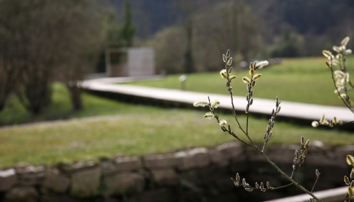 Por que visitar A Mariña Lucense en agosto: turismo slow