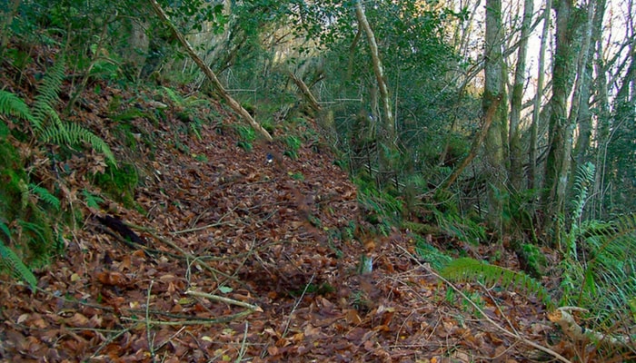 Decálogo para desfrutar do sendeirismo e coidar o medio natural