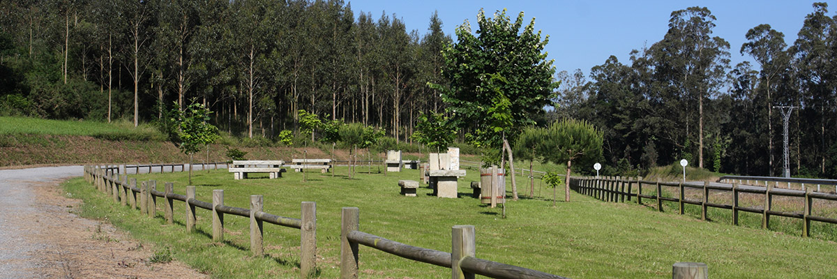 https://turismo.trabada.gal/wp-content/uploads/2018/03/area-camino-santiago.jpg